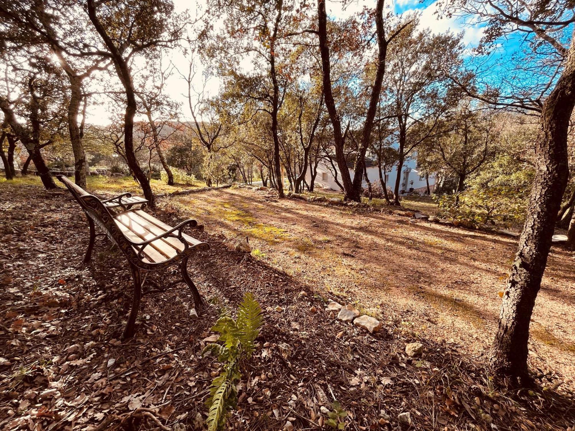 Villa Alba En Provence ベス・シュル・イソル エクステリア 写真